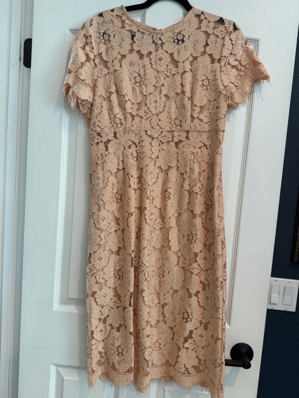 NSR A Nordstrom Brand Lace Dress Large